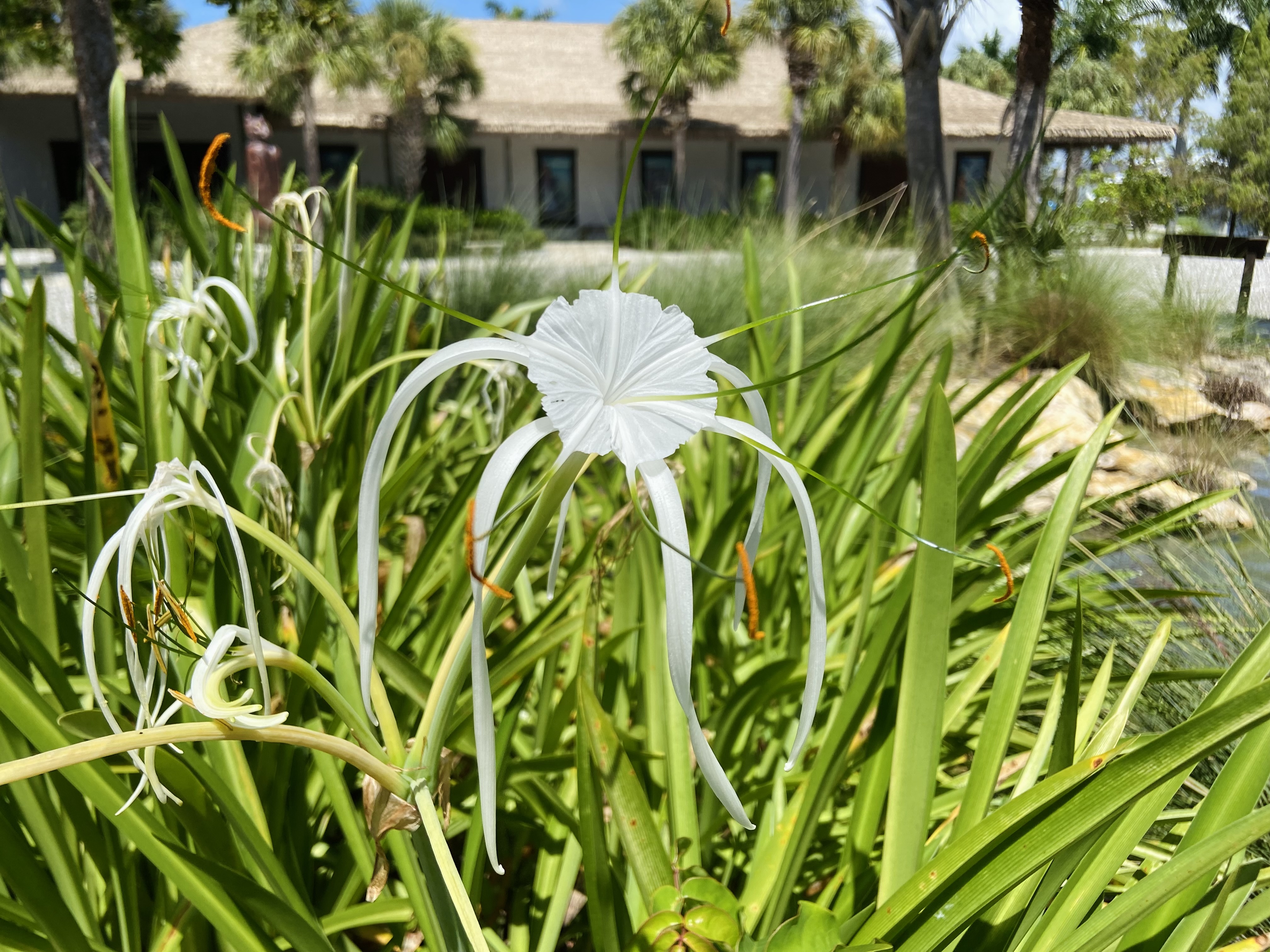 Slide 3 – Outdoor Campus